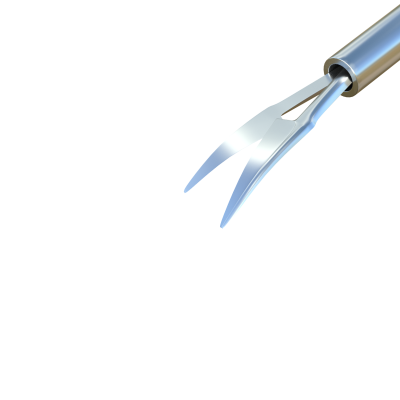 Scissors Curved, Titanium/ Stainless